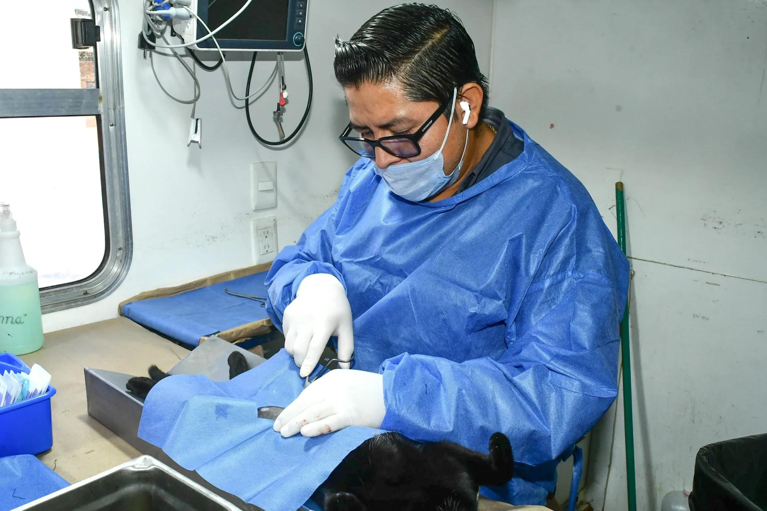 Gobierno Municipal invita a esterilizar perros y gatos en Centro de Castración de Bahía de Kino