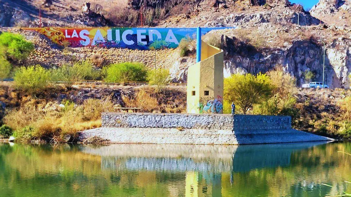 Primer aniversario del Bosque Urbano La Sauceda: alistan festival con más de 70 actividades